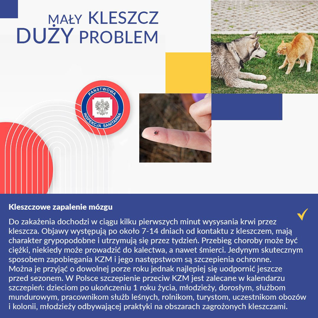 Mały kleszcz duży problem