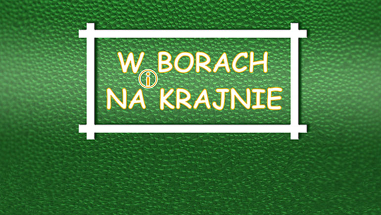 w borach i na krajnie logo