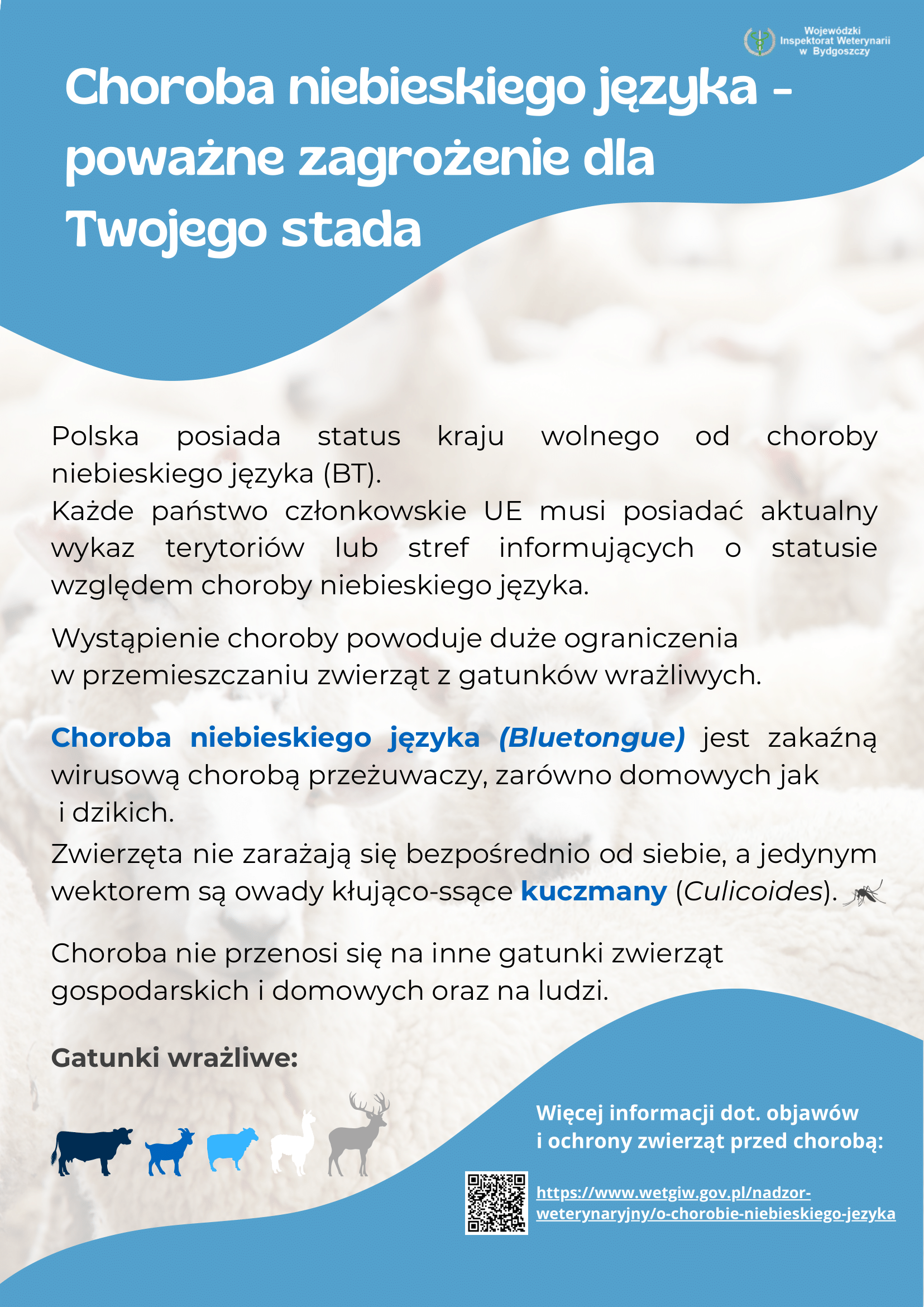 choroba niebieskiego języka plakat
