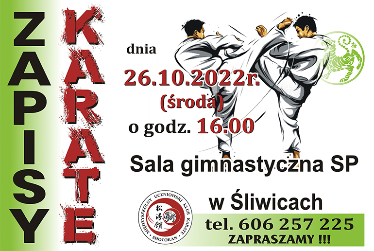 plakat zapisy karate