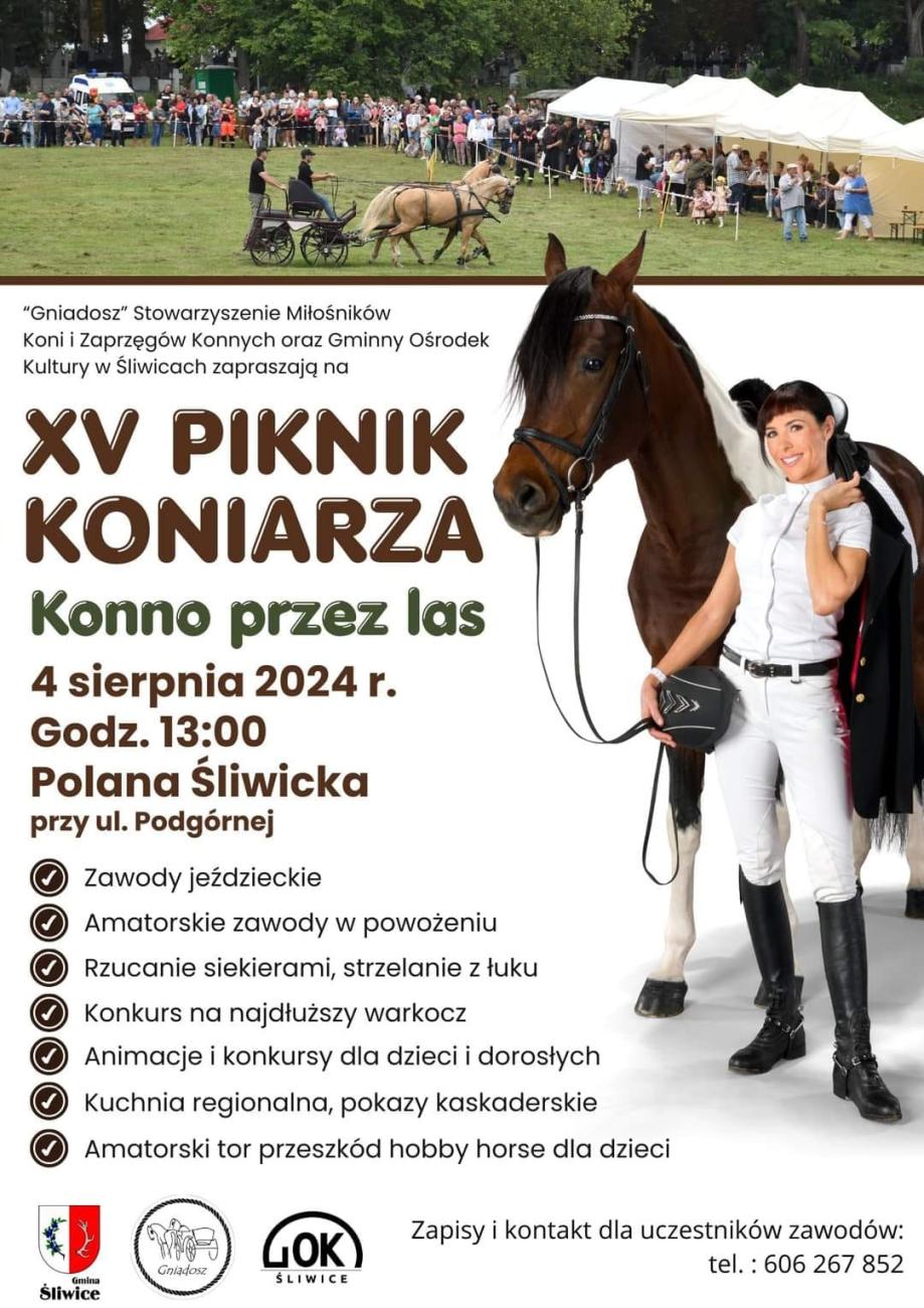 Plakat piknik koniarza