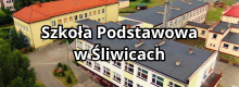 Szkoła podstawowa śliwice