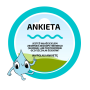 Ankieta
