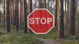 znak stop, las w tle