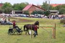 Piknik koniarzy