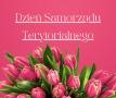 grafika z tulipanami dzień samorządu terytorialnego