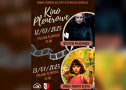 plakat kina plenerowego
