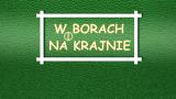 logo w borach i na krajnie