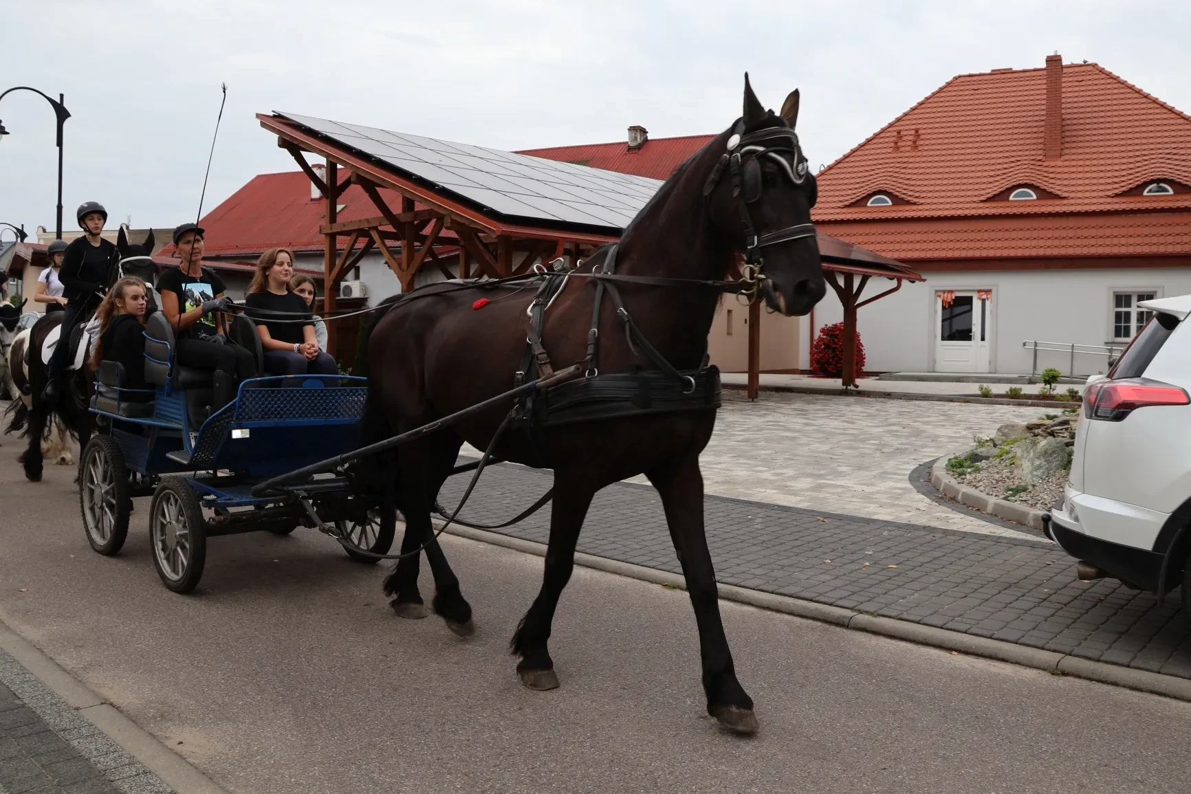 Piknik koniarzy