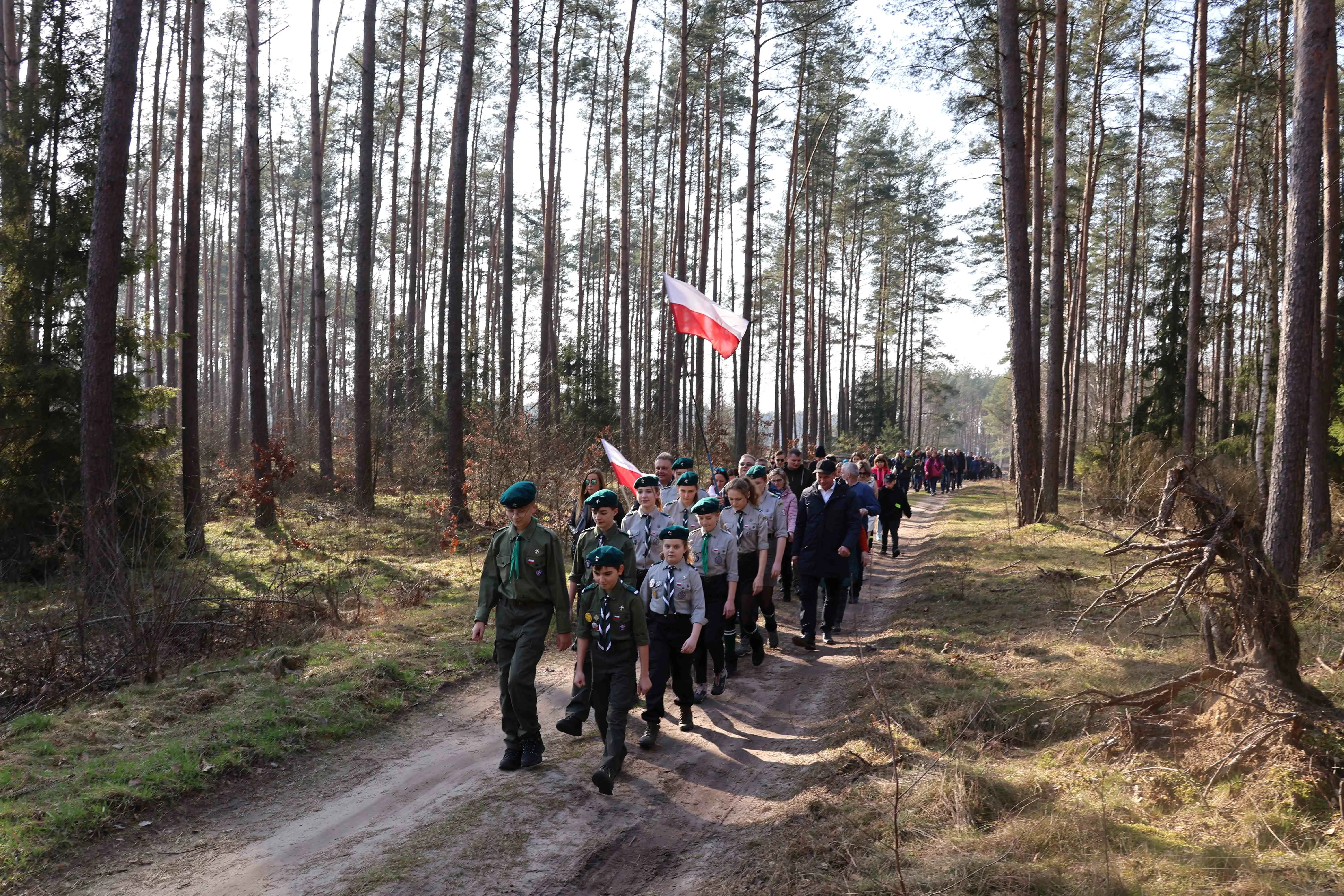 harcerze idą przez las