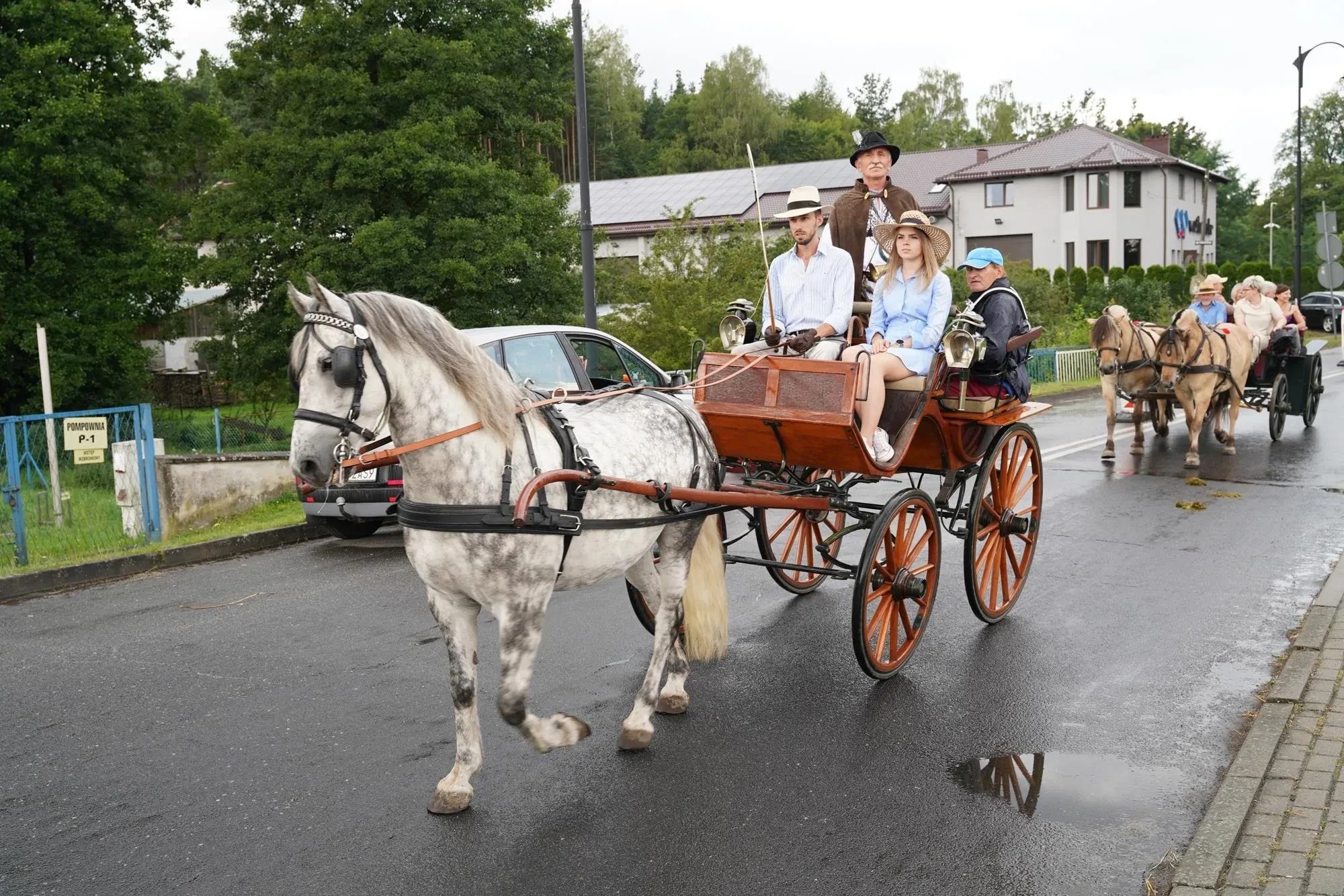 szary koń i drewniana bryczka