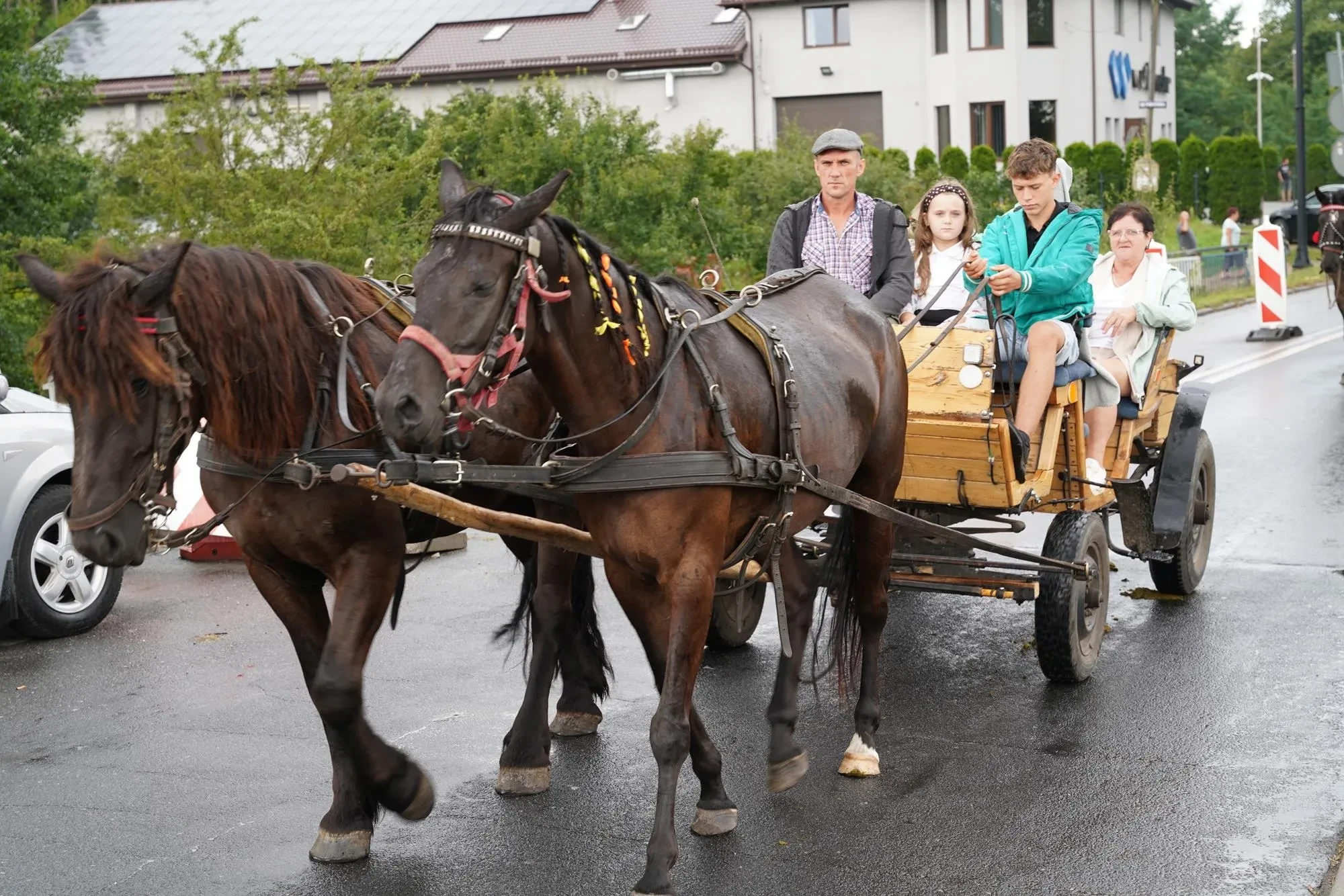 dwa ciemne konie i drewniana bryczka