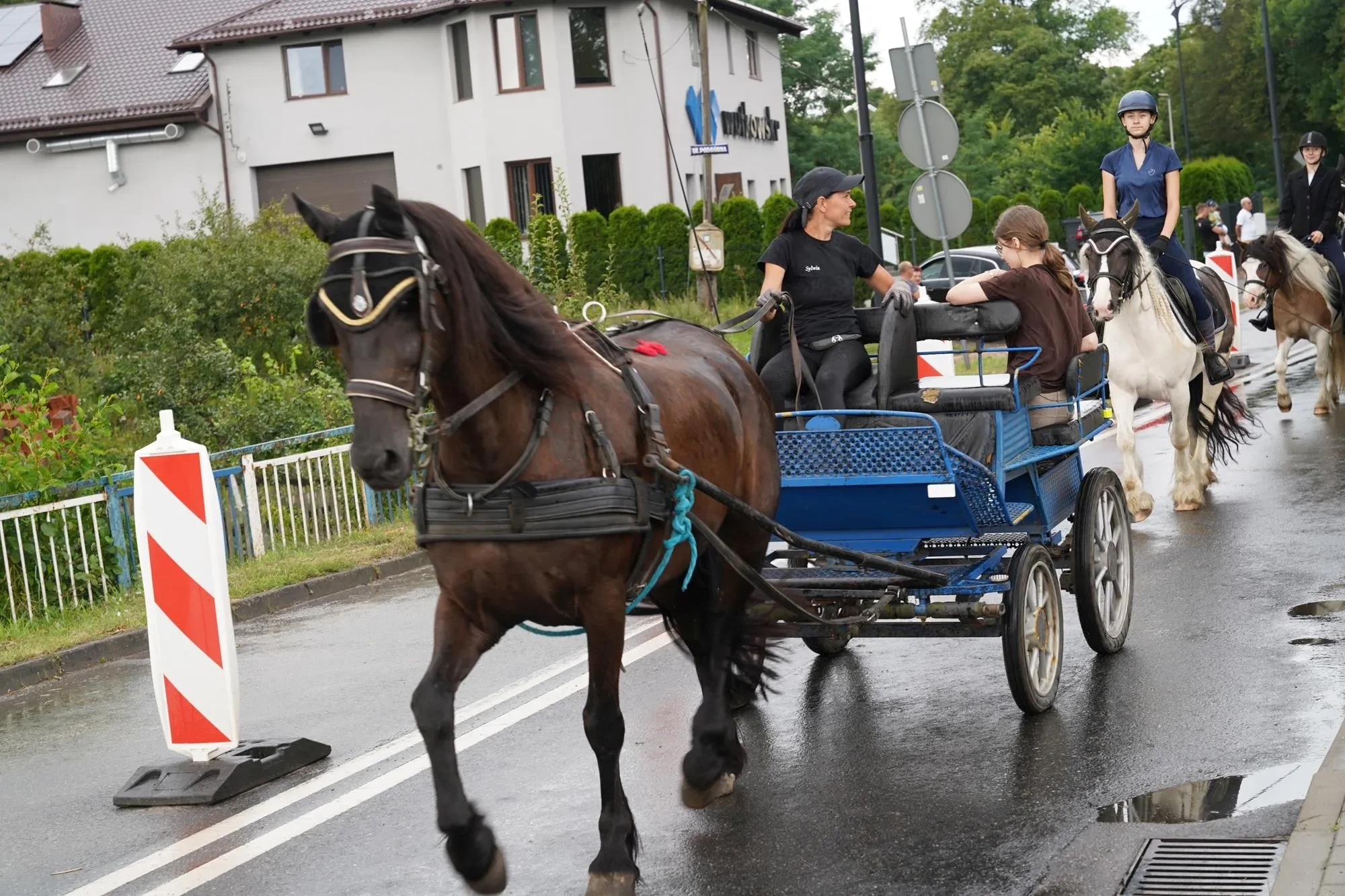 koń z niebieską bryczką